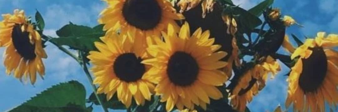 AlbaMartuu's profile banner image