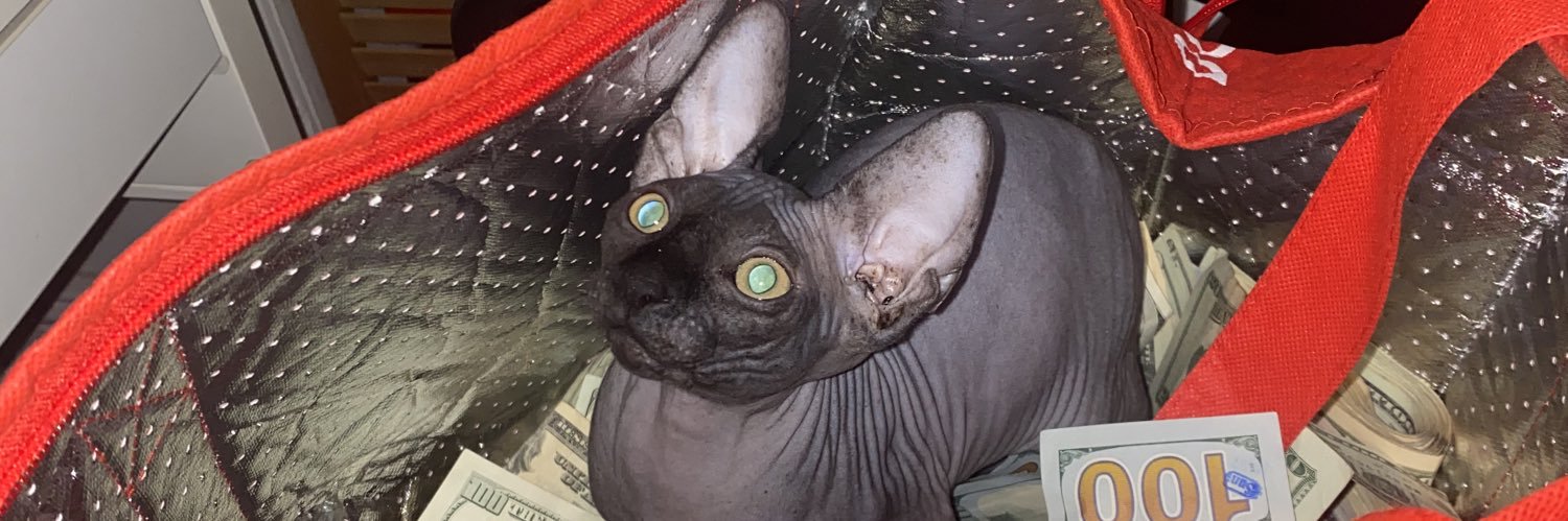 TRANZFATS's profile banner image