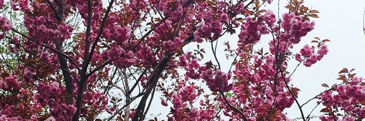 jessyhowell_'s profile banner image