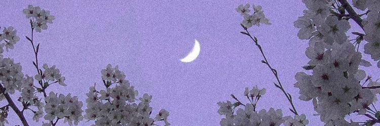 selmakocan's profile banner image