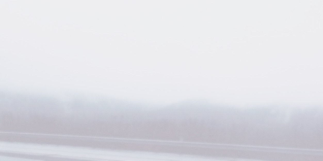 LilyRyanBH's profile banner image