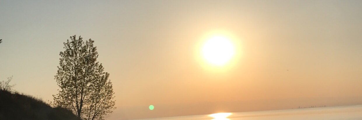 TikiIyer's profile banner image