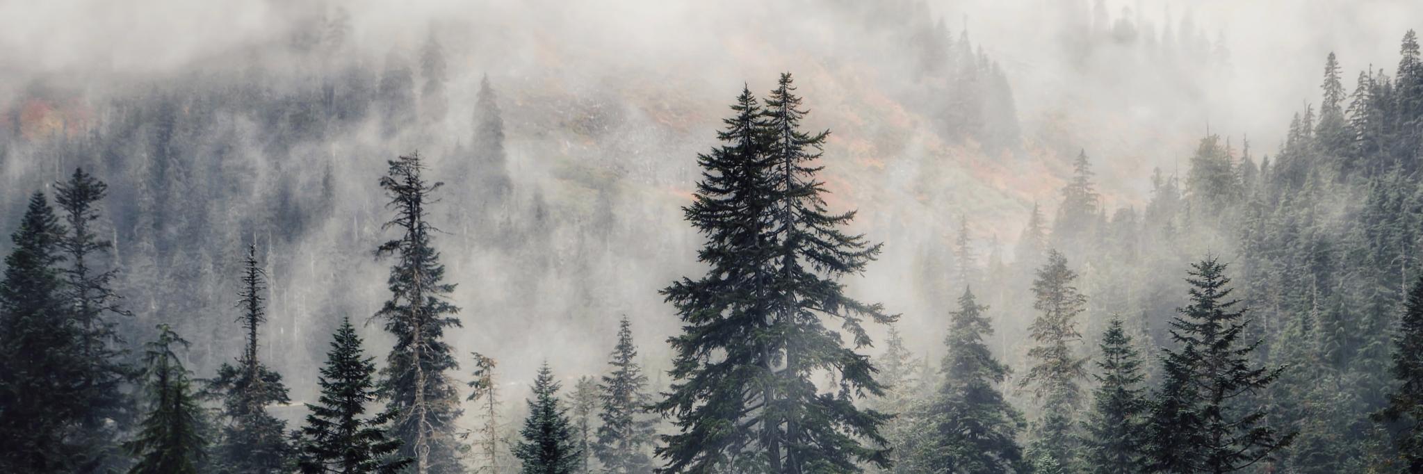 mrvalography's profile banner image