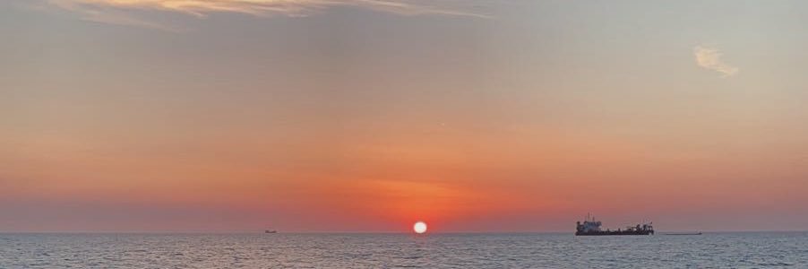 madieldredge's profile banner image