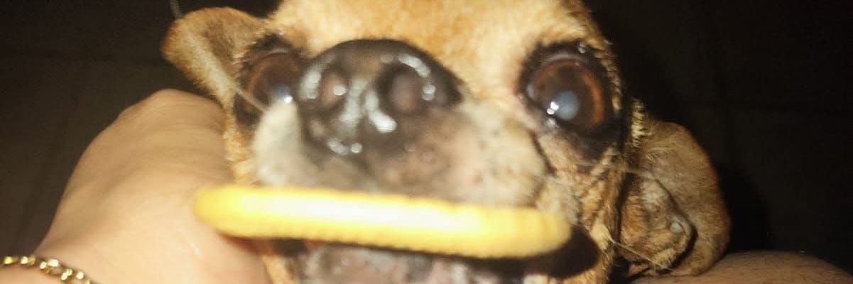 SamanthaA_VG's profile banner image
