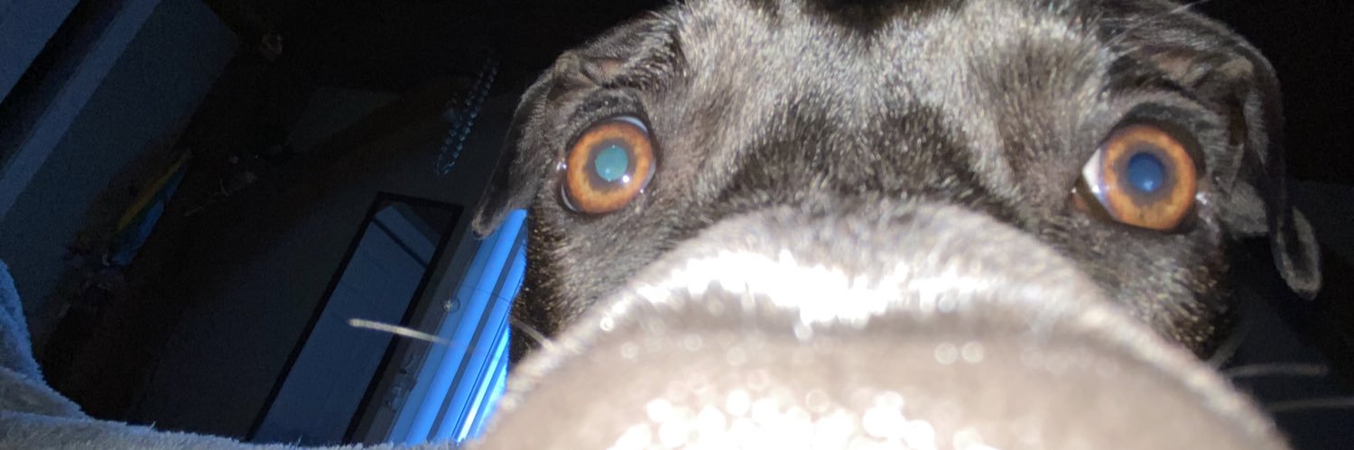 juliistevens's profile banner image
