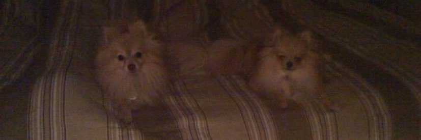 vlo86's profile banner image