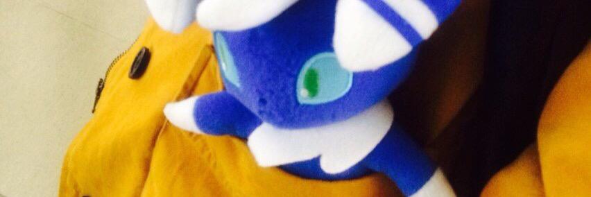 aripeko's profile banner image