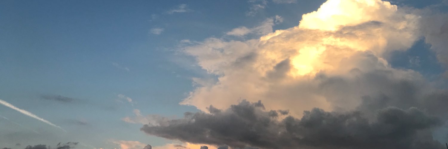 guizoid's profile banner image