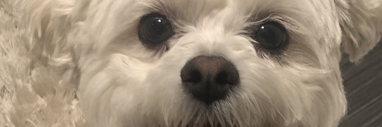 fesse64's profile banner image