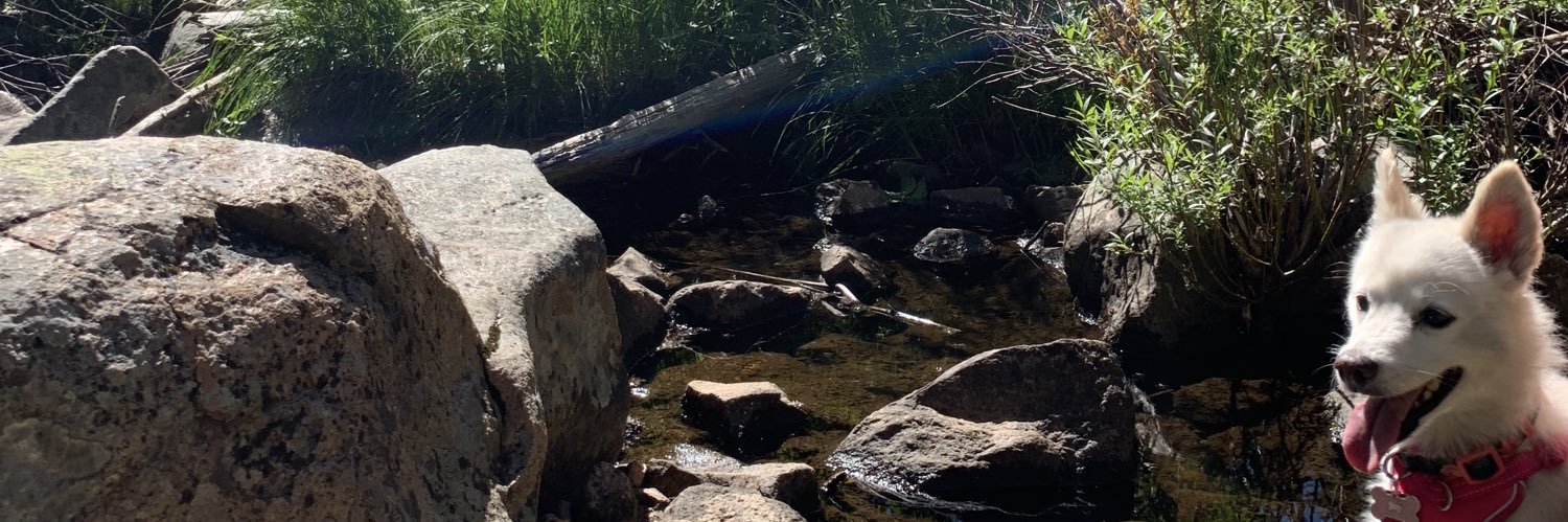 Laura Martinez banner