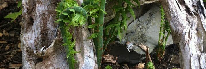 AsterixMonck's profile banner image