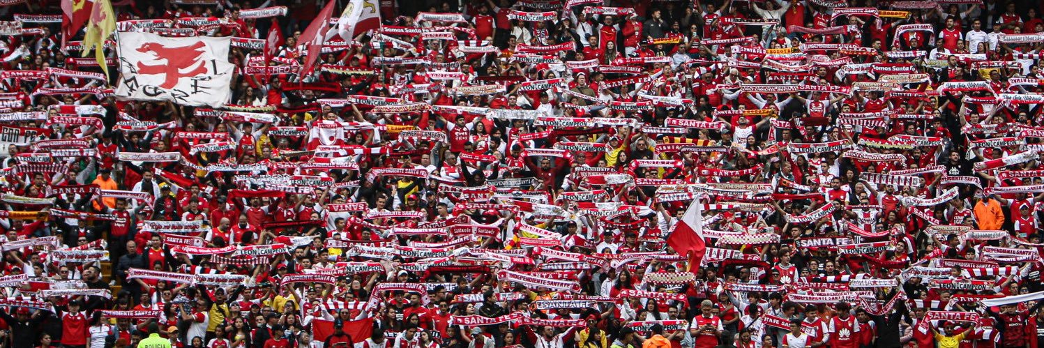 Daniel Toloza banner