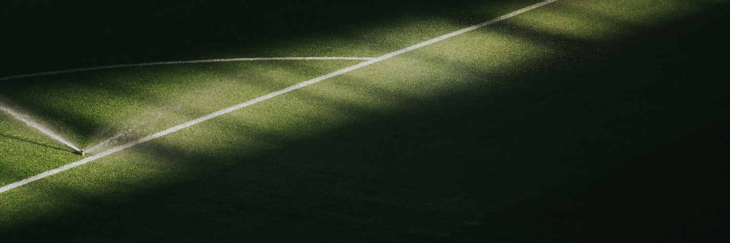 Natural Grass banner