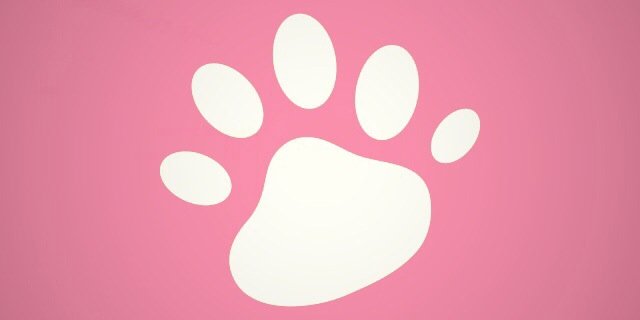 s_65_s's profile banner image