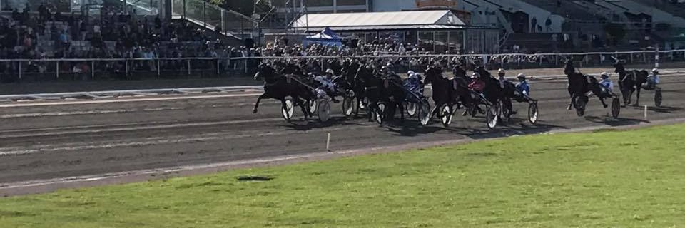 Jägersro Trav banner