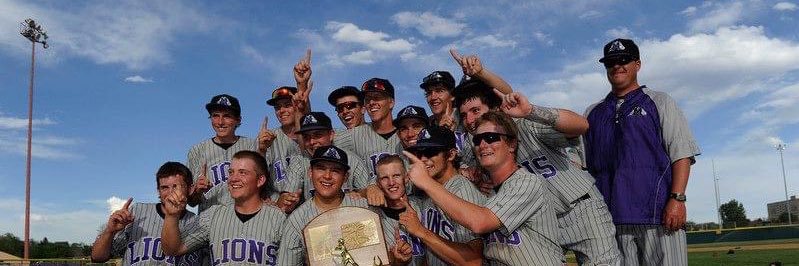 MVHS Baseball banner