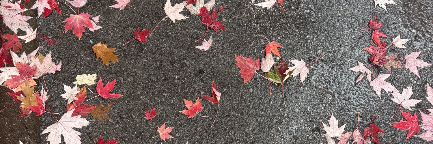 sliizzyy's profile banner image