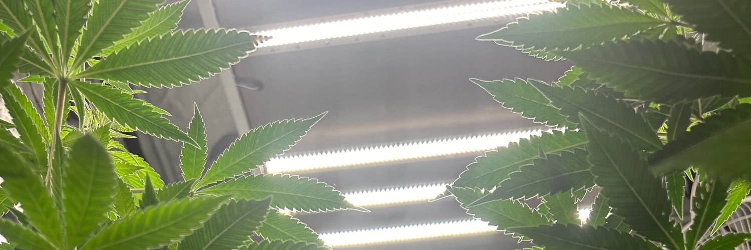 CartoonJesus's profile banner image