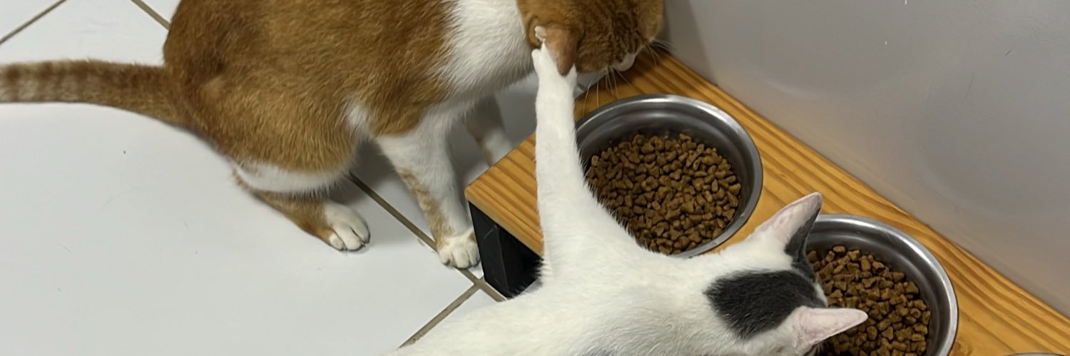 Adriano Araújo 🏳️‍🌈 banner