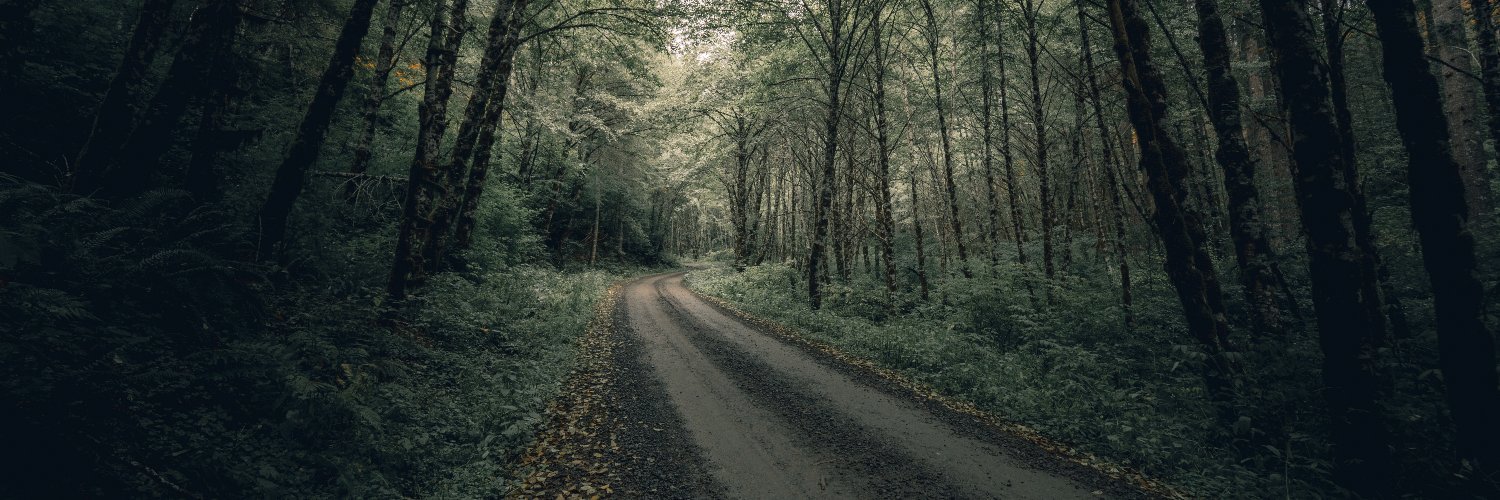 tfevan's profile banner image
