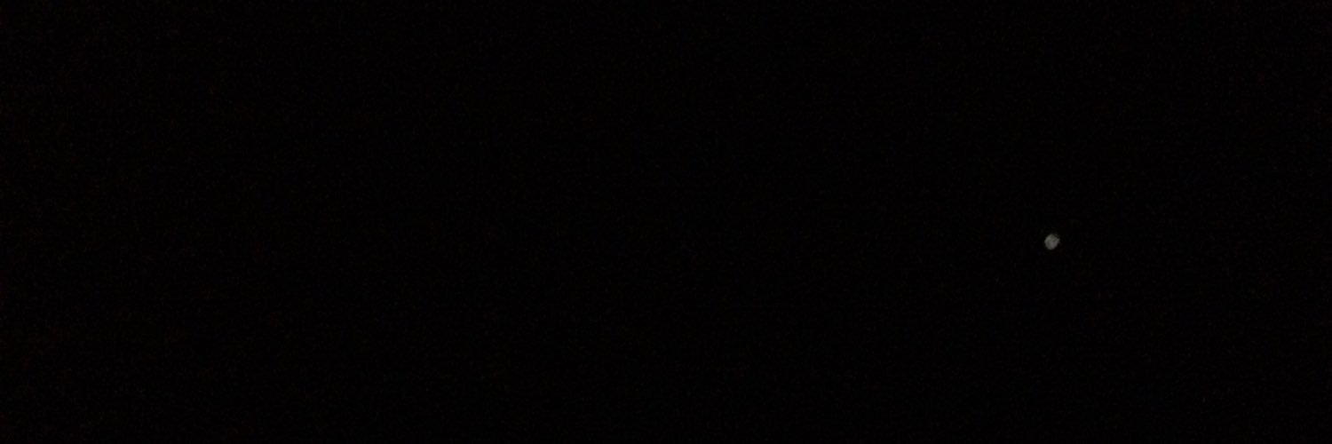 AlyssKiess's profile banner image