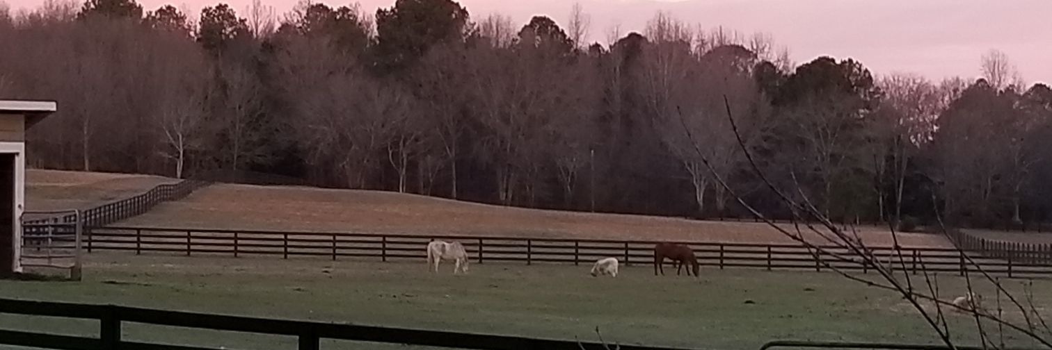 Nancy A Banker banner