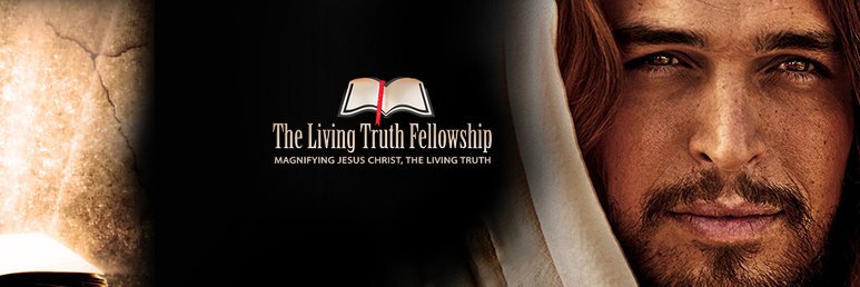 TLTF77's profile banner image