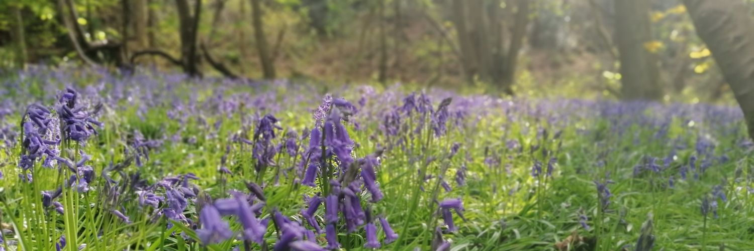 JimFearn's profile banner image