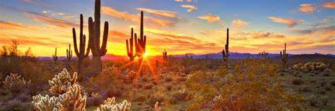 Danielle Lerner banner