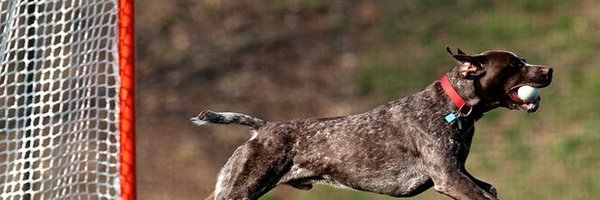 jrbordley5 Profile Banner