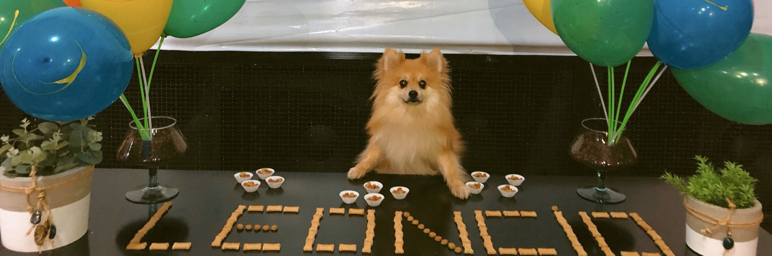 _luanaconti's profile banner image