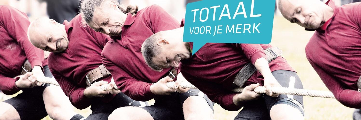 Spiegelcc's profile banner image