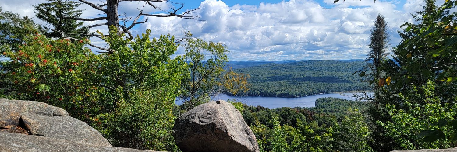 Dr. Laura Cook banner