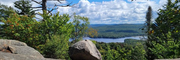 LauraInTheLab1 Profile Banner