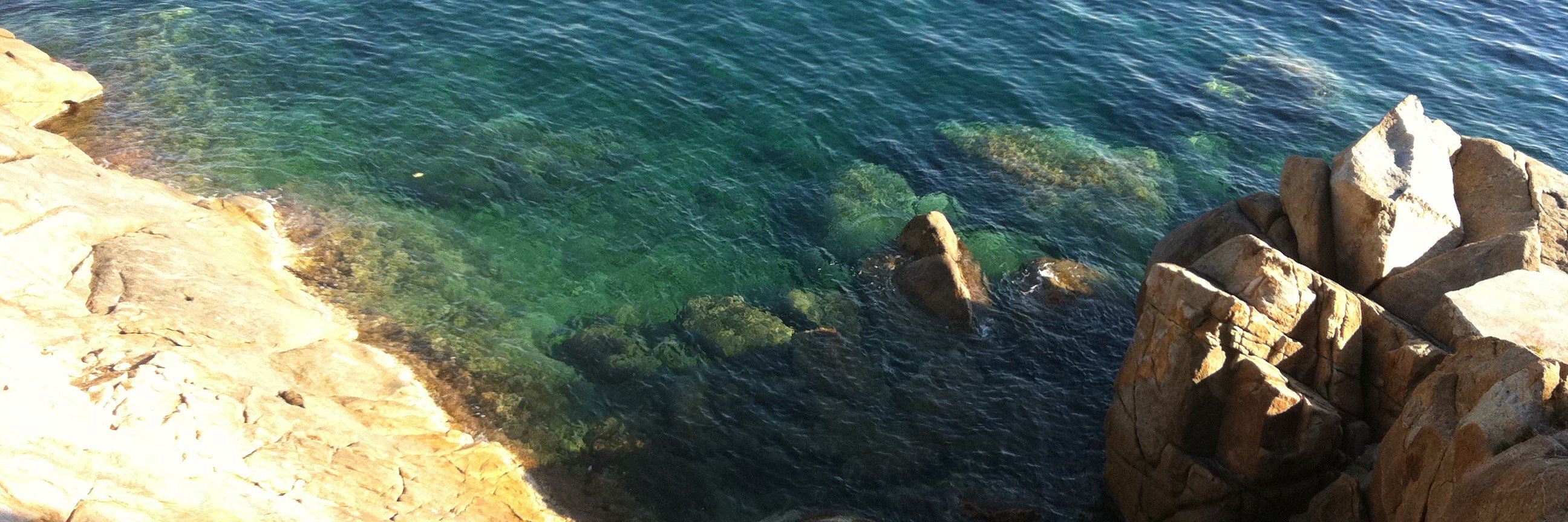 Nico Marini-Maio banner