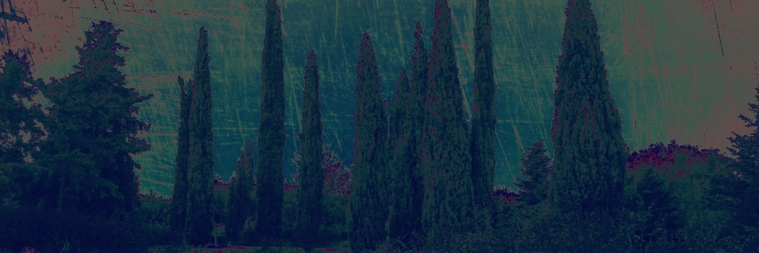 sebas__wtf's profile banner image