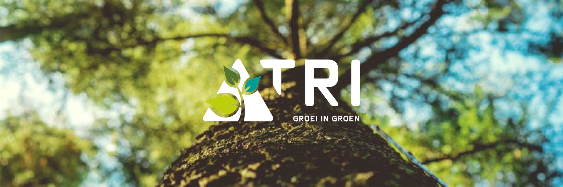 TRIGROEIINGROEN's profile banner image