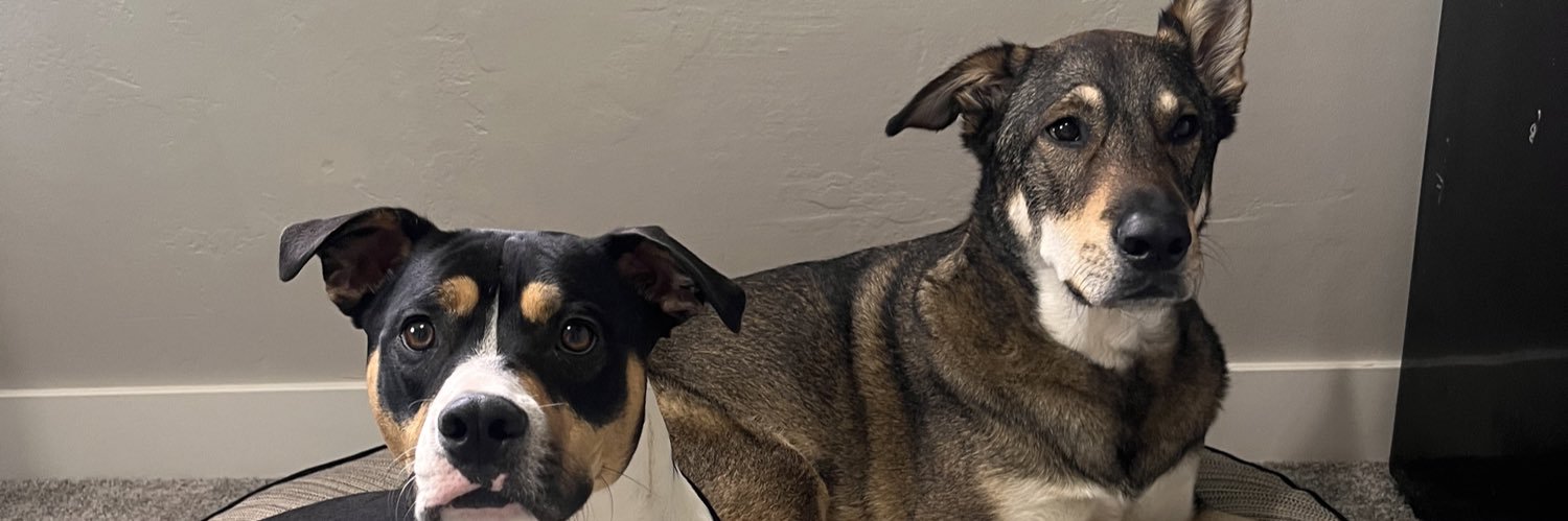 hames_mike's profile banner image