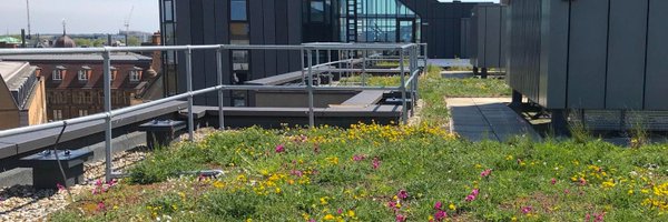 ecoschemes Profile Banner