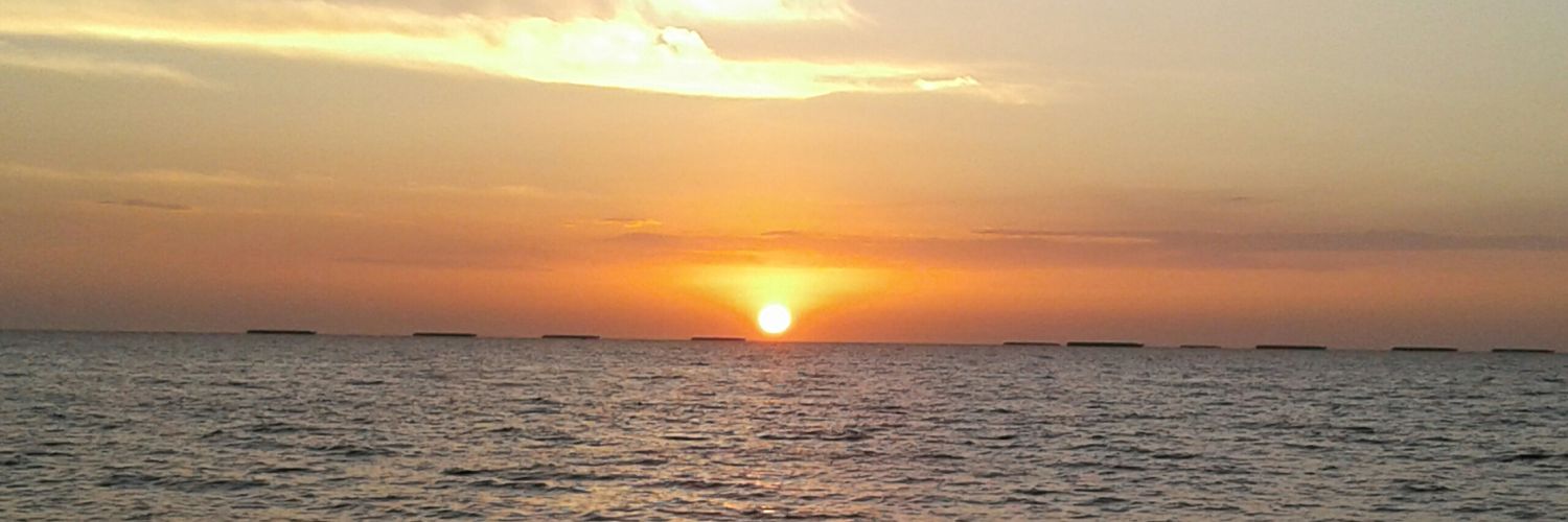 quinoneseditor's profile banner image