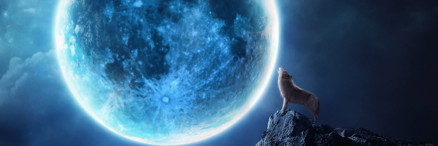 HowliesPack's profile banner image