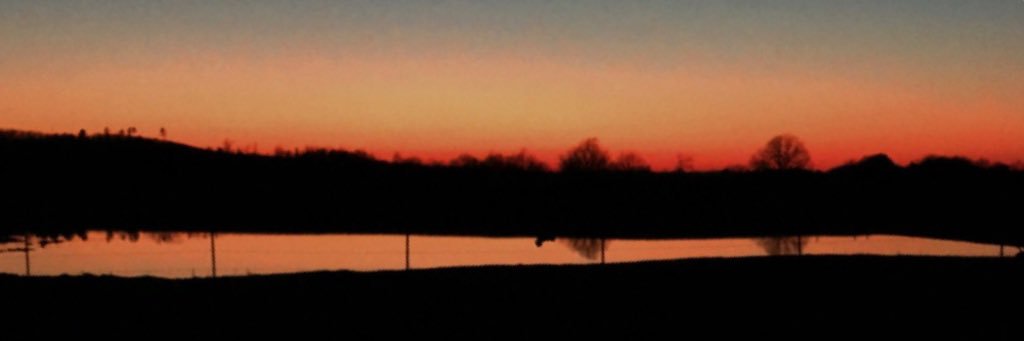 natalieeeee14's profile banner image