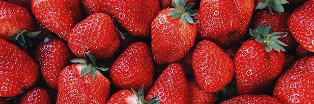 RowanPlinsky's profile banner image