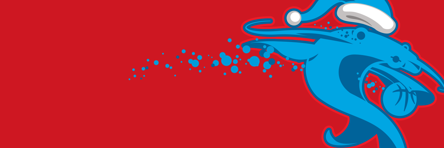 LCHolidayHoops's profile banner image