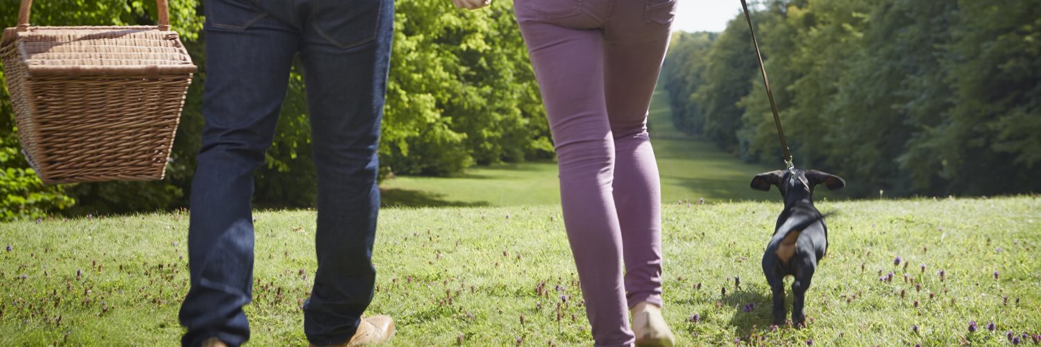 JustineRayner's profile banner image