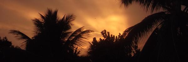 kavya_manohar Profile Banner