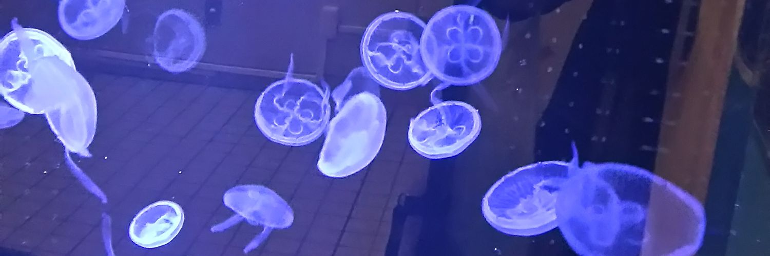 6220Eternity's profile banner image