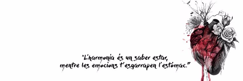 Roser Montané i Tardà banner