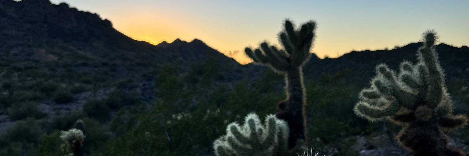 MandiRUNS's profile banner image